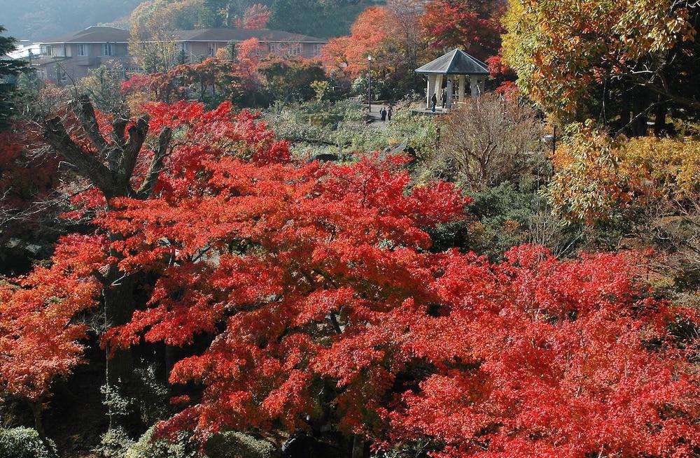 Suikoukan Hakone Extérieur photo