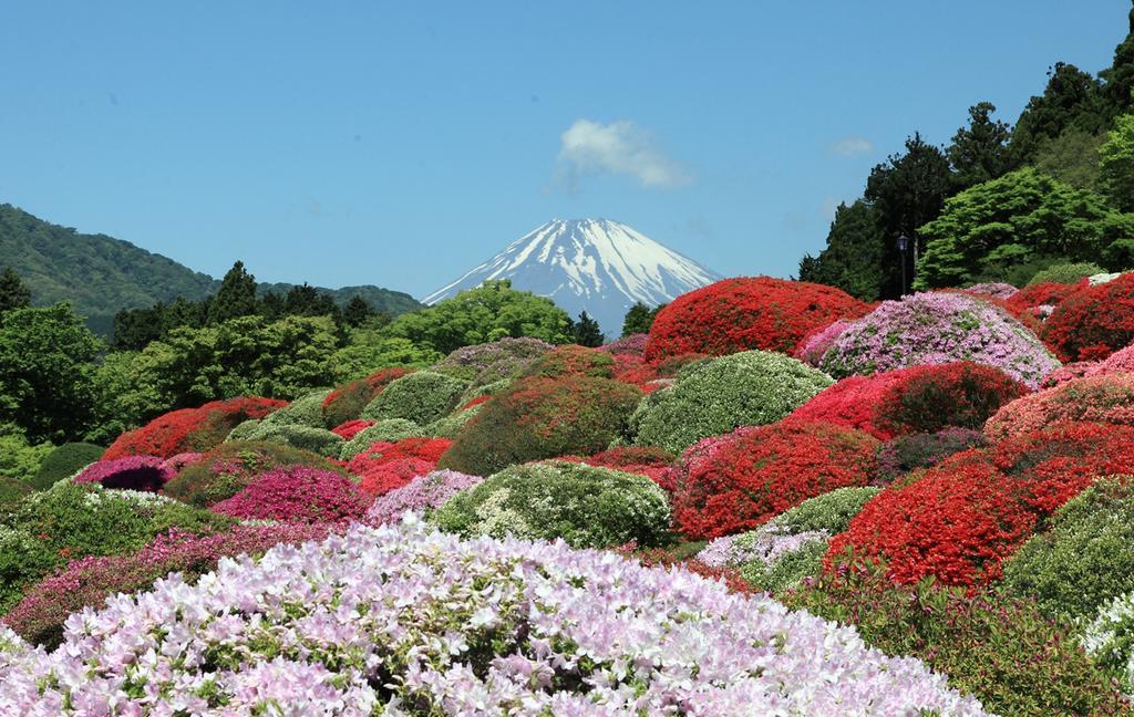Suikoukan Hakone Extérieur photo